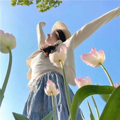 蒲公英的奇幻漂流