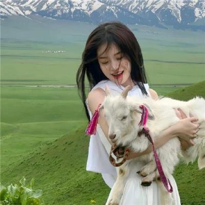 完美世界年番